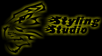 Styling Studio - На главную страницу